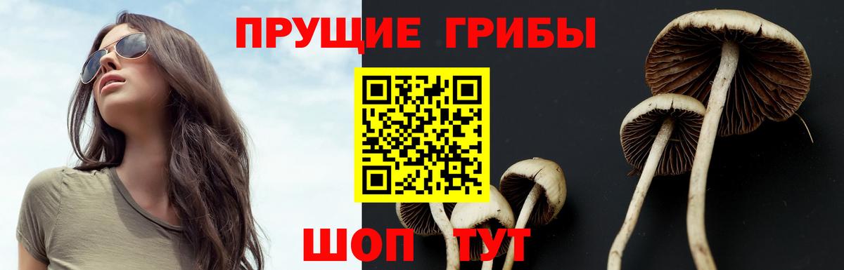 Галлюциногенные грибы мицелий Каспийск